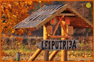 rudens_leiputrija