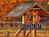 camping-kempings-leiputrija-latvia-caravaning-near-riga-63
